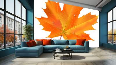 Herbst Ahornblatt, herbstlich Wall mural