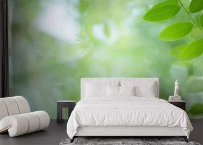 Fresh green leaves in sunlight for nature banner and cover background with copy space. Wall mural