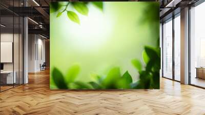 Green leaf for nature background with beautiful bokeh and copy space for text. Wall mural