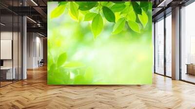 Green nature background. Closeup natural view of green leaf with beauty bokeh background for nature and freshness  Wall mural