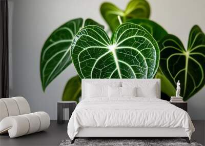 Anthurium, beautiful botanical shot, natural wallpaper Wall mural