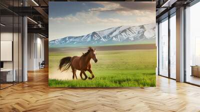 Beautiful brown horse running on green grass at sunset Wall mural