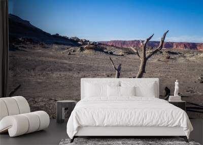 Dry branch on the floor in the desert. Wall mural