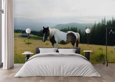 landscape sky forest in the mountains, in the background horses graze, free grazing animals, wild animals, on a sunny summer day mountain silhouettes, fog, wallpaper, poster, cover, nature Carpathian Wall mural