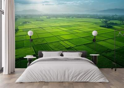 Aerial view of green rice fields in India, representing agricultural production and food safety. symbolizing ecofriendly practices for healthy crops. Wall mural