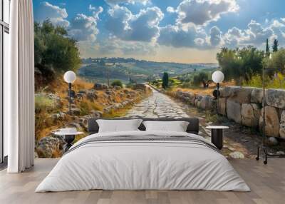 An ancient Roman road made of large cobblestones and lined with stone walls on both sides, winding through the hillsides of Jerusalem in full view. Wall mural