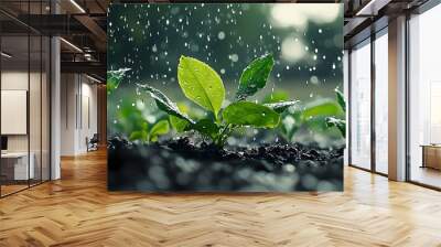 Raindrops on lush green leaves, capturing water droplets and sunlight filtered through rain, in a moody, vibrant nature scene with high detail and cinematic lighting. Wall mural