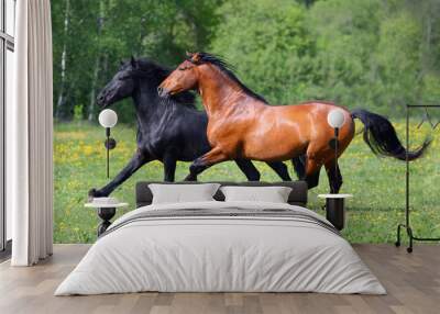 Pair of horses running in the field Wall mural