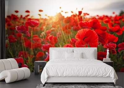 Nice colorful poppy field in spring Wall mural