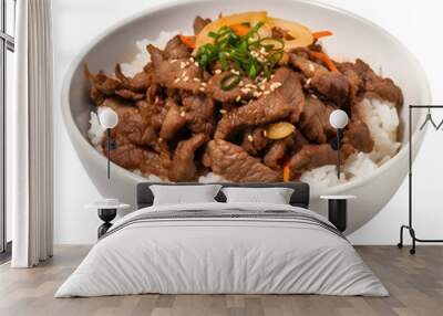 Delicious bulgogi with rice recipe  korean food Wall mural