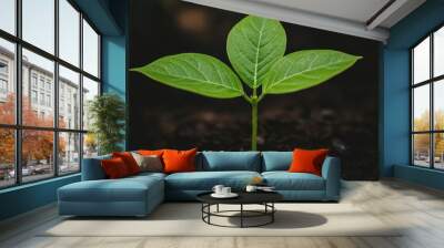 Nurturing growth the journey of a new plant sprouting from fertile soil Wall mural