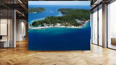 Aerial view of the blue sea, green island, sandy beach, strait, lagoon. A small settlement on the coast of a small tropical island. Wall mural