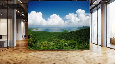 Green forest with blue sky and white clouds Wall mural