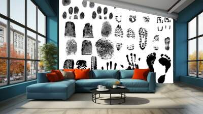 a collection of vector fingerprints, footprints and more Wall mural