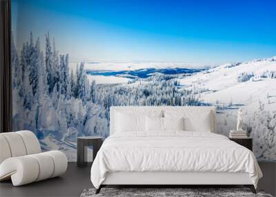 trees fully covered in snow and ice in the high alpine mountains near the village of sun peaks in th Wall mural