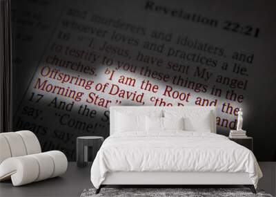 Bible text  Revelation 22:16 Wall mural