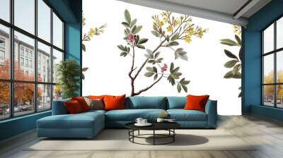 Tree branch with blossoms isolated on transparent background, old botanical illustration Wall mural