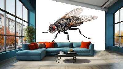 a close up of a fly Wall mural