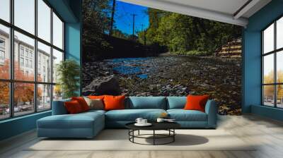 A Low Down Shot of a Creek Wall mural