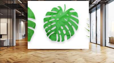 Tropical leaf cut-outs made with crumpled green paper isolated on transparent background Wall mural