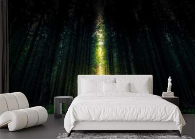 Beautiful mystical forest and sunbeam - Fantasy Wood Wall mural