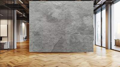 Light grey black slate stone background or texture Wall mural