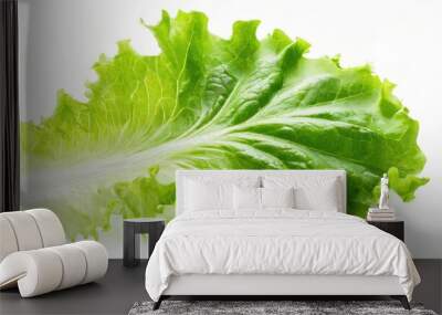 A piece of fresh lettuce isolated on white background. Wall mural