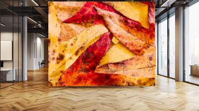 autumn leaves close-up with red and yellow colours. different type of leaves. Wall mural