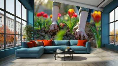 planting garden hands female spring new gardening flowers low sunlight Wall mural