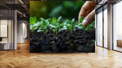 Hand planting seeds into rich dark soil close-up emphasizing sustainable agriculture and food growth future harvest concep Wall mural