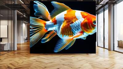 Elegant goldfish gliding through shadows, showcasing vibrant orange and white scales against a striking black backdrop Wall mural