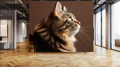 Fluffy and Cute Cat Portrait Against Warm Brown Background Wall mural