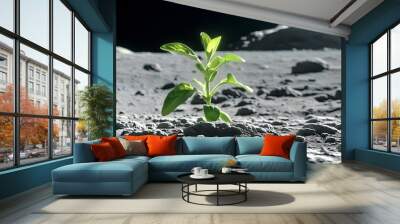 New beginnings: a vibrant green plant breaking through the gray lunar dust, symbolizing hope and the possibility of life in the barren moon landscape. Wall mural