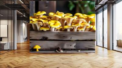 Organic chanterelle mushrooms displayed in a wooden crate at a farmers market, celebrating natures bounty and the art of gourmet cooking during seasonal harvests Wall mural