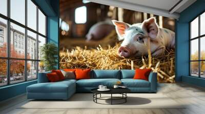 Resting Piglet Surrounded by Hay in Cozy Barnyard Setting for Agricultural Themes Wall mural