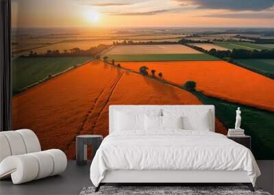 Vibrant aerial panorama of orange fields illuminated by gentle sunlight Wall mural