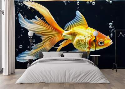 Vibrant goldfish swimming gracefully in a serene aquarium setting Wall mural