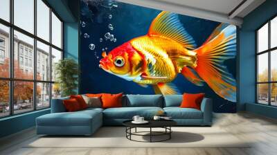 Vibrant goldfish swimming gracefully in a serene aquarium setting Wall mural