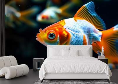 vibrant goldfish swimming gracefully in a tank with a softly blurred background Wall mural