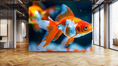 vibrant goldfish swimming gracefully in a tank with a softly blurred background Wall mural