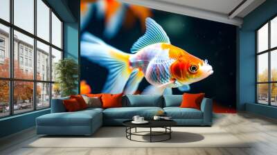 vibrant goldfish swimming gracefully in a tank with a softly blurred background Wall mural