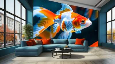 vibrant goldfish swimming gracefully in a tank with a softly blurred background Wall mural