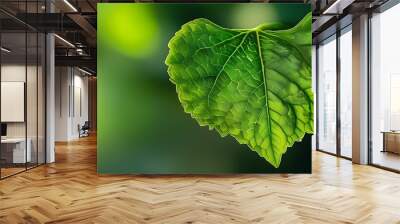 Vibrant Green Foliage Showcasing Natures Texture and Freshness in an Outdoor Setting Wall mural