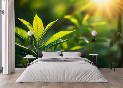 Vibrant Green Leaves Glowing in Warm Sunlight, Celebrating Natures Growth and Tranquility Wall mural