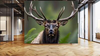 Whimsical Portrait of a Stylish Elk Amidst Ferns with Glasses and Cap Wall mural