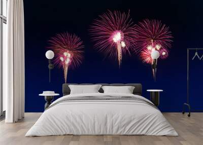 colorful fireworks Wall mural