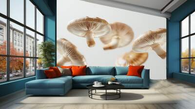 Ultra-realistic view of mushroom caps floating in mid-air against a pristine white background.  Wall mural