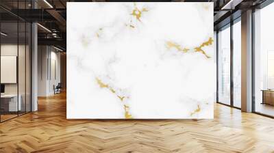 Abstract marble background for decorative design. Modern white gray and golden abstract background creative design. Marble texture. Luxury gold nature background vector. Wall mural