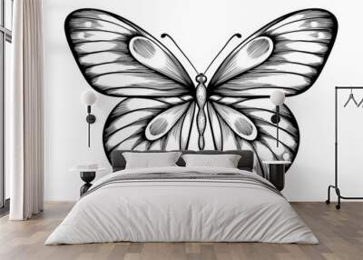 beautiful black and white butterfly Wall mural