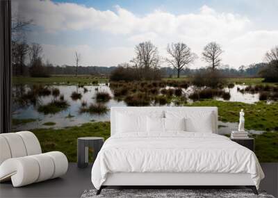 Wetlands in the Netherlands province Overijssel nearby the village Diepenveen Wall mural